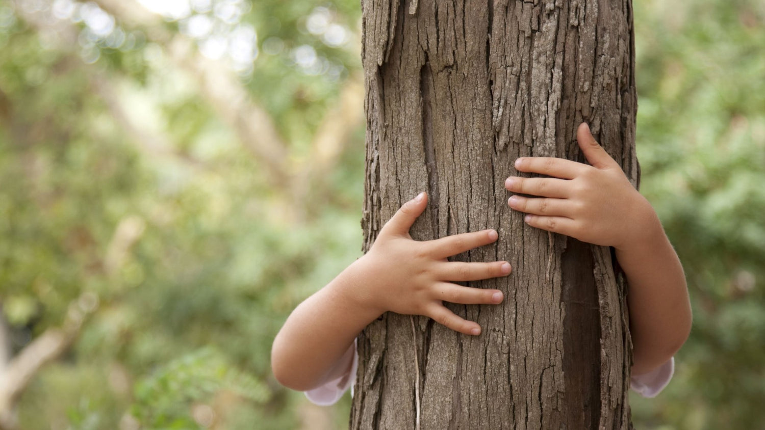 De Kloeff Meubels Hoogslaper Kinderbedden Duurzame keuzes voor een leefbare toekomst voor kinderen